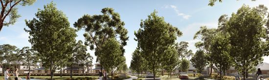 An artist’s impression of a tree-lined street at Riverlea