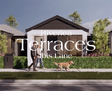 Ibis Lane