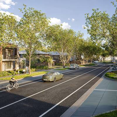 An artist’s impression of a street through The Palms neighbourhood of Riverlea, with tall native trees lining the road and modern houses seen beyond the trees.